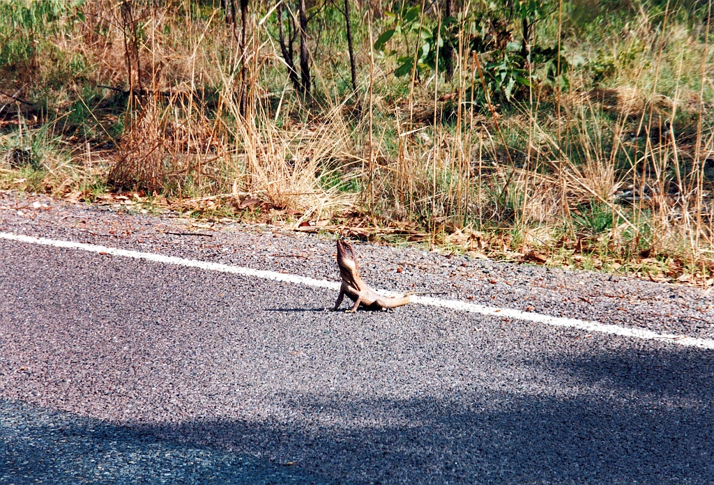 2000 - Australie 258T.jpg